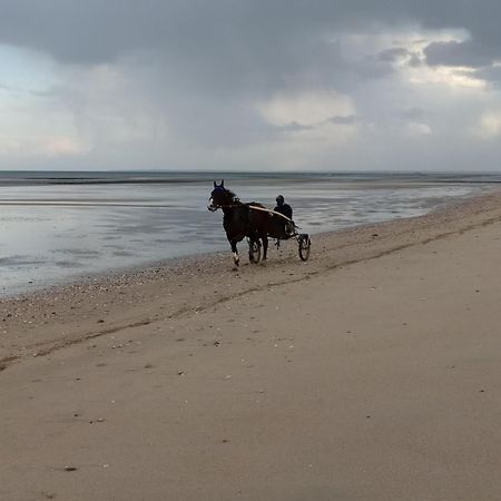 Gites "Bord De Mer" Pmr Ou "Arromanches" 2 Chambres En Front De Mer A Asnelles , 3Km D'Arromanches, 10Km De Bayeux Saint-Côme-de-Fresné Εξωτερικό φωτογραφία