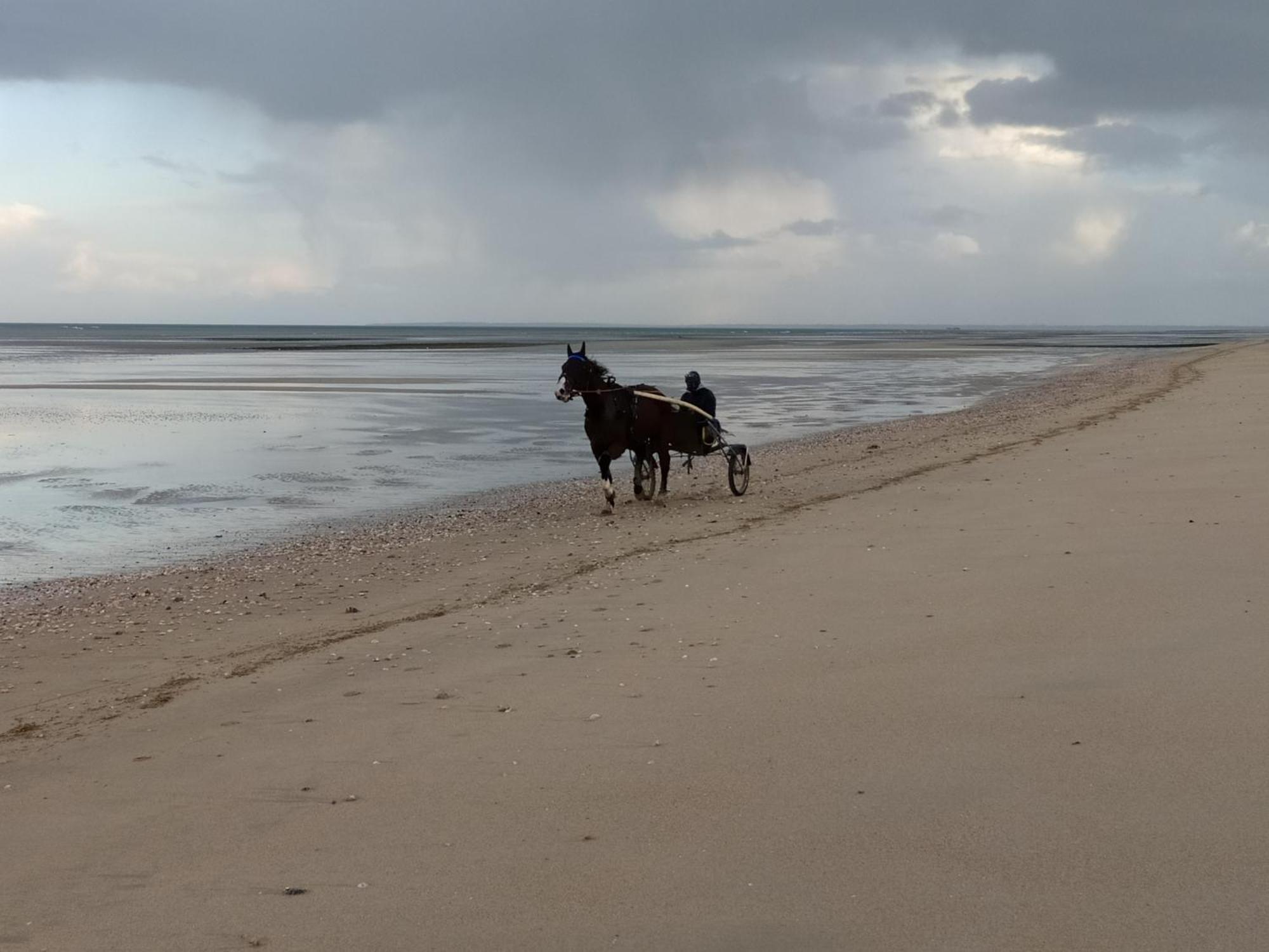 Gites "Bord De Mer" Pmr Ou "Arromanches" 2 Chambres En Front De Mer A Asnelles , 3Km D'Arromanches, 10Km De Bayeux Saint-Côme-de-Fresné Εξωτερικό φωτογραφία